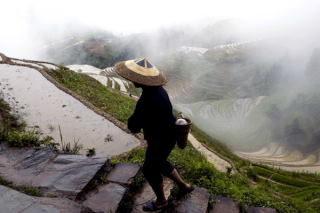 Rolnik z Guilin