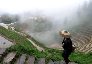 Sławne pola tarasowe - Guilin