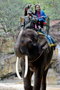 Przejażdżka na słoniu w Kantonie