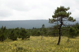 Krajobraz Yunnan